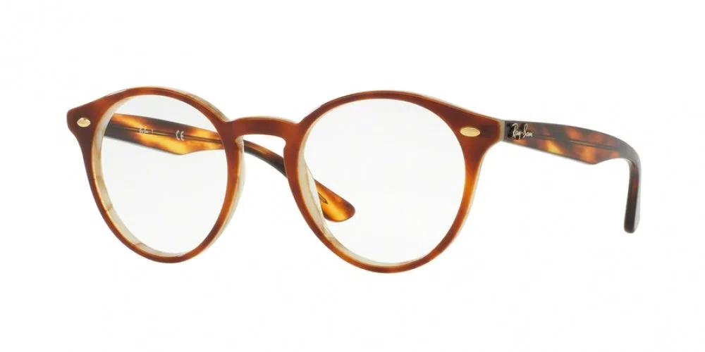 Ray-Ban 2180V Eyeglasses - view 9